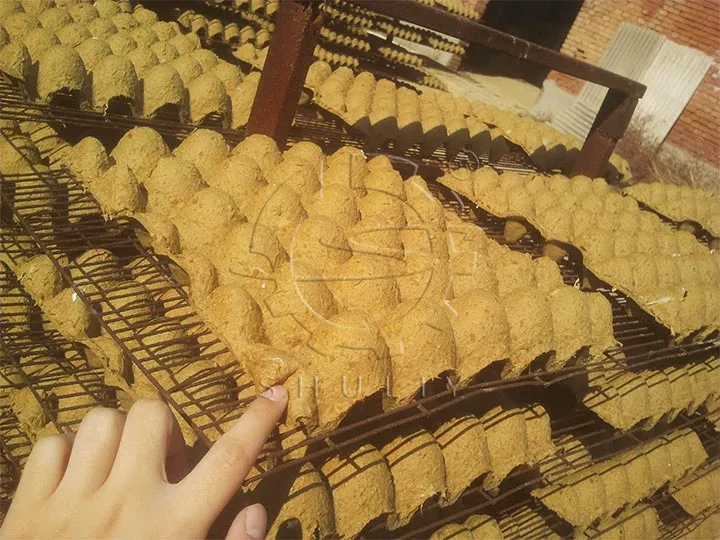 egg tray drying