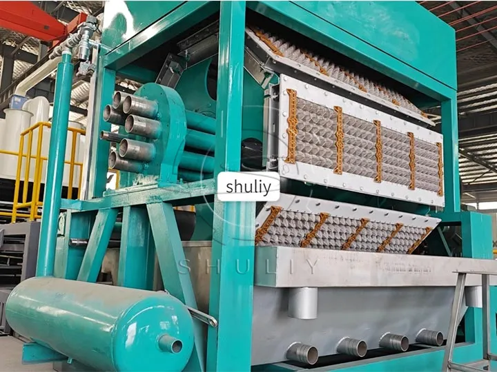 egg tray forming machine