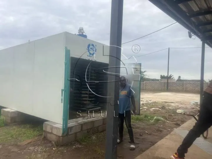 Egg Tray Drying Machine Used in Zambia