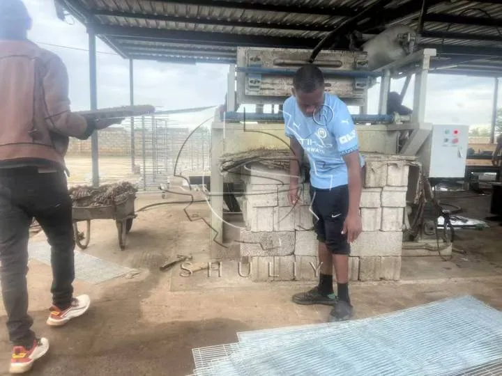 Egg Tray Making Machine Running at Customer Site in Zambia