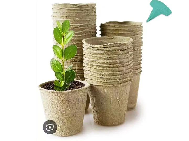 Seedling trays